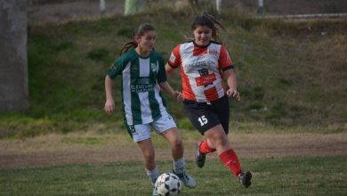 Se disputó la fecha 17 en la Primera del fútbol femenino