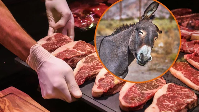 Carne de burro: La alternativa para los asados del domingo – LU3 Digital Diario digital de LU3 – Periodismo renovado. Información